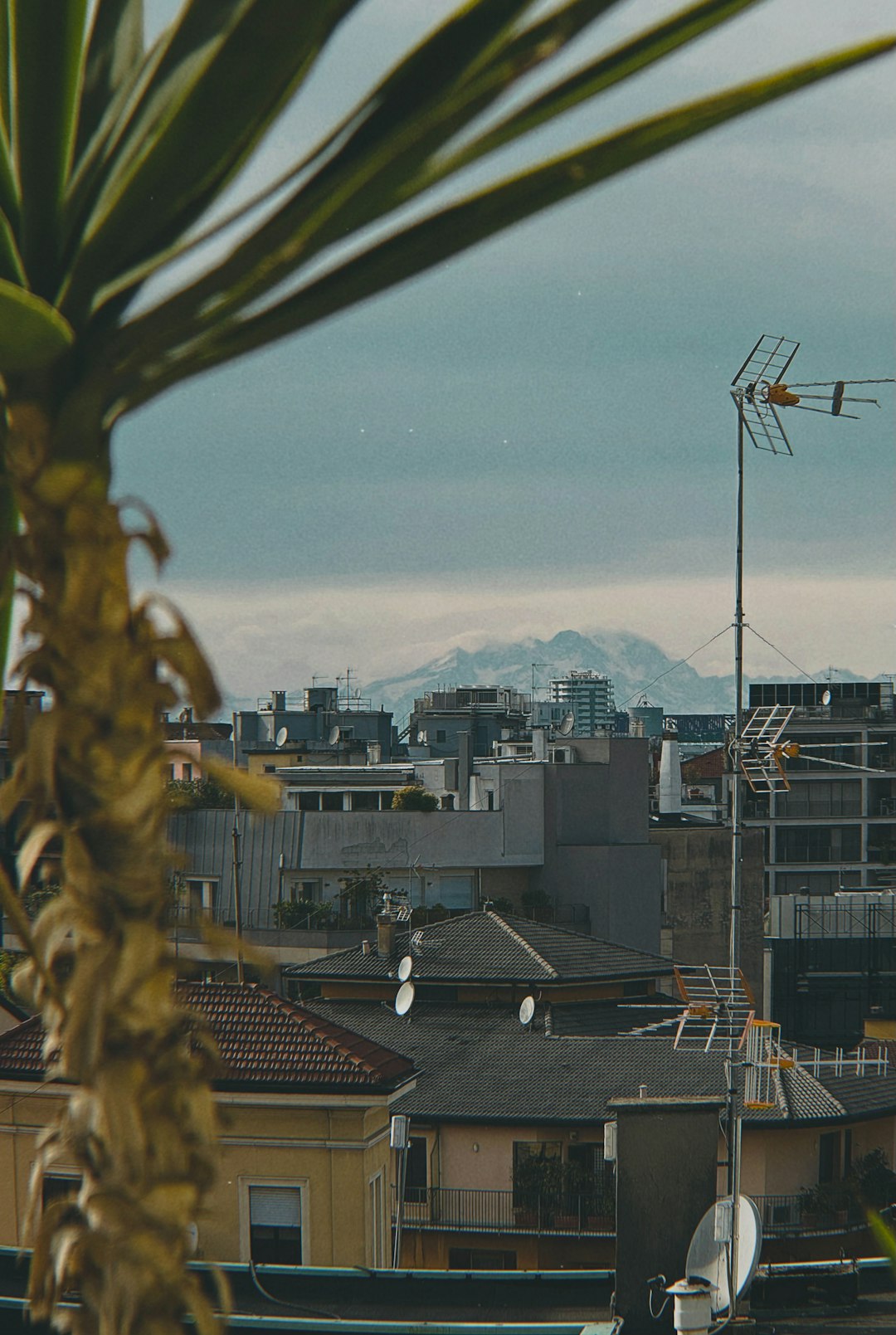 Mountain