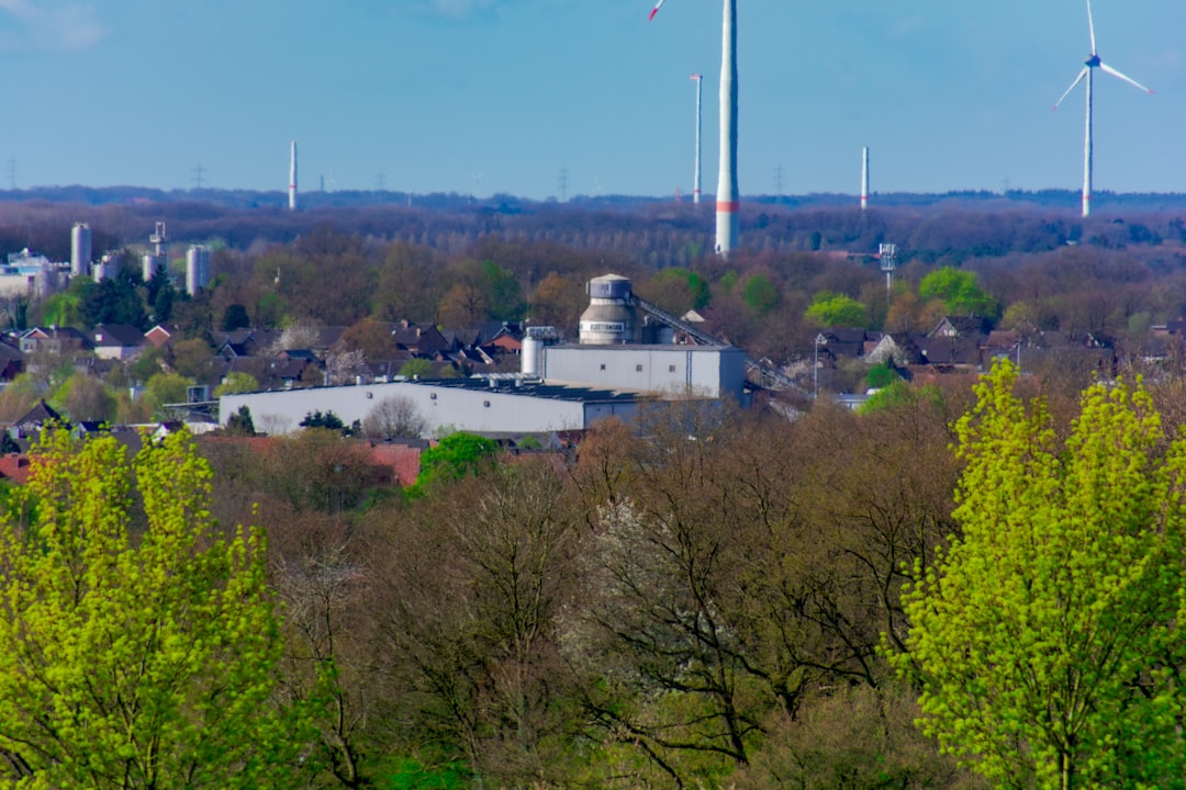 service-06 wind-turbines-dot-the-horizon-over-a-wooded-landscape-ebppqg4cdl0